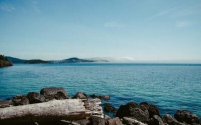 Hypnose (auto / pleine conscience…)